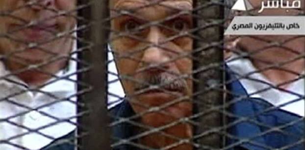 Court postpones trial of Mubarak-era interior minister Habib al-Adly
