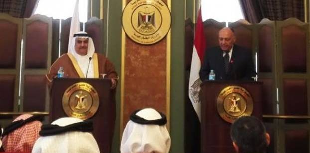 Shukri: Egypt-Iran relations still cut off