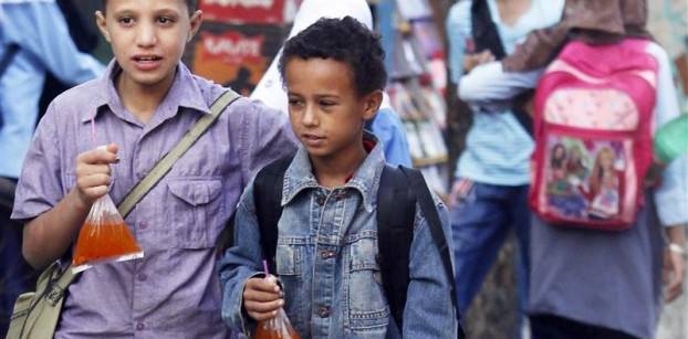 Egypt has fourth highest illiteracy rate among 13 Arab states