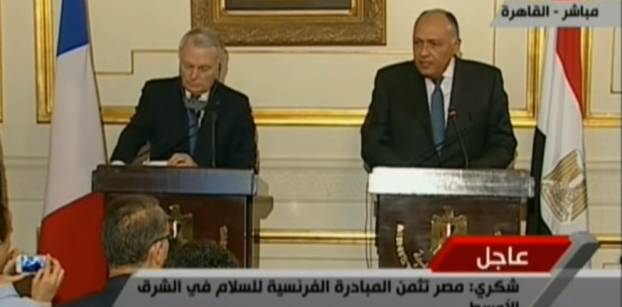 French FM discusses Palestine-Israel in Cairo ahead of Hollande's visit  