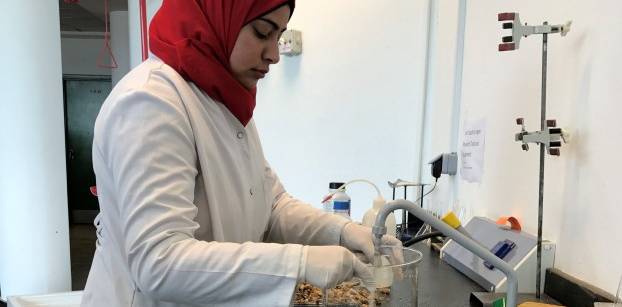 Egyptian researchers turn shrimp shells into biodegradable plastic