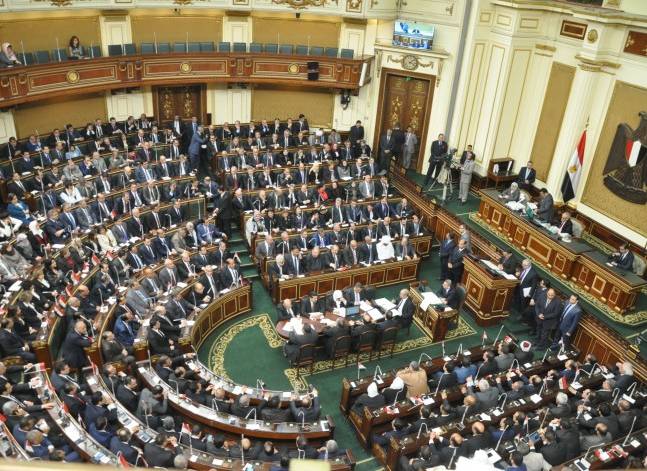 Egypt's parliament expels lawmaker critical of human rights record