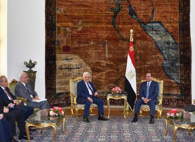 Egypt supports 'Palestinian state' along pre-1967 borders - Sisi