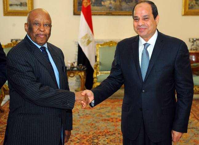 Egypt supports efforts to restore peace in South Sudan - Sisi