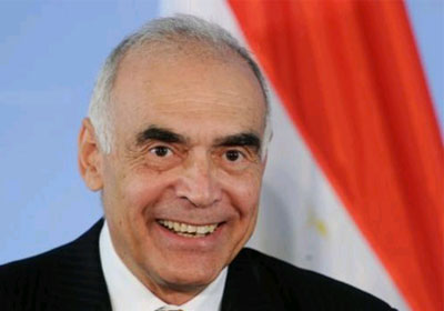 Foreign minister: Elections boost relations between Egyptian communities and embassies