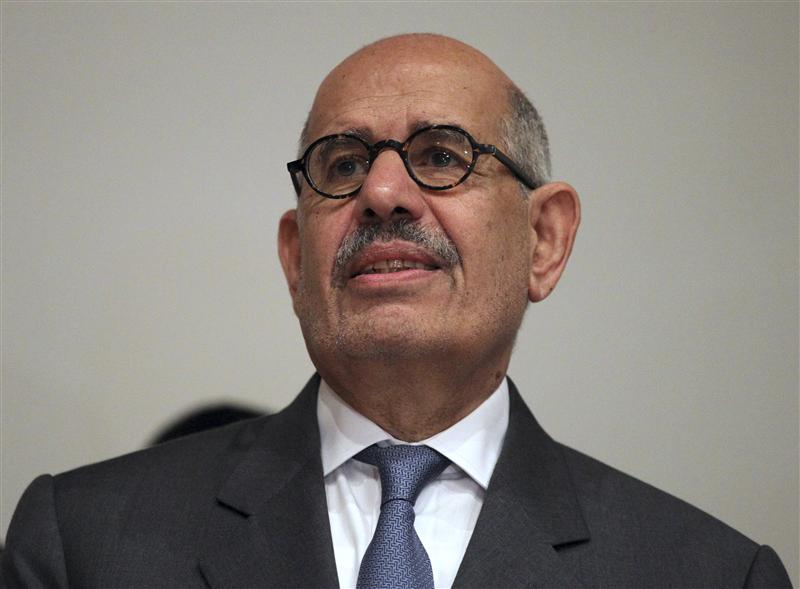 ElBaradei urges Egyptians to protest 