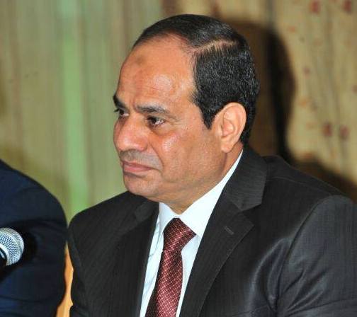 Sisi discusses governorates' border demarcation