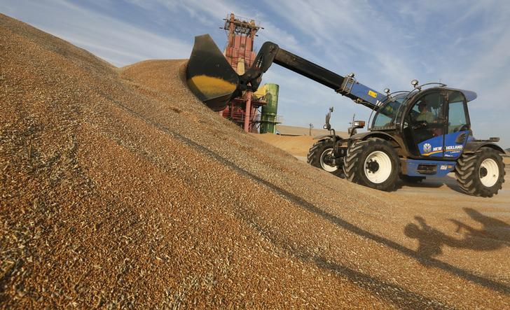 REUTERS - Egypt buys 5 mln tonnes of local wheat, above target
