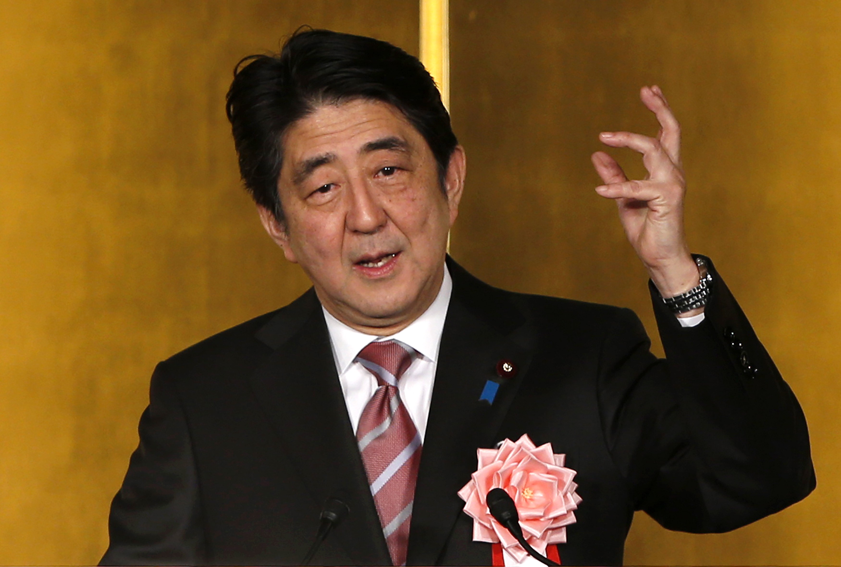 Japanese Prime Minister to visit Egypt on Friday - embassy