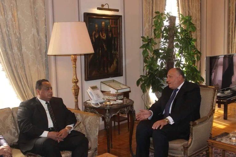 Sudanese-Egyptian relations not confined to Dam talks – Sudanese Foreign Minister
