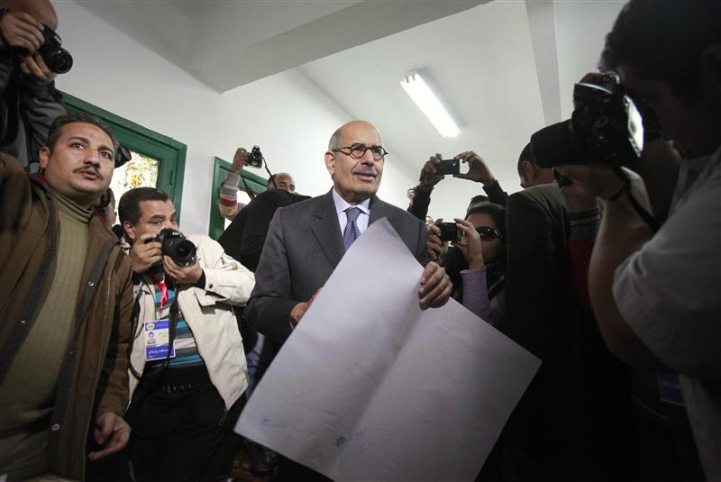 ElBaradei: We insist on achieving revolution's goals regardless of sacrifices