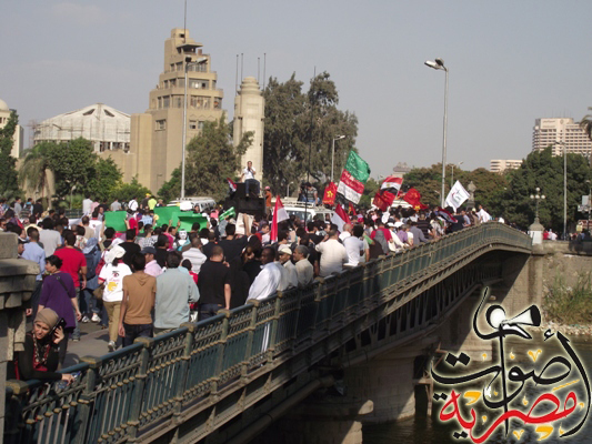 Protesters clash in Qaliubiya, 15 injured