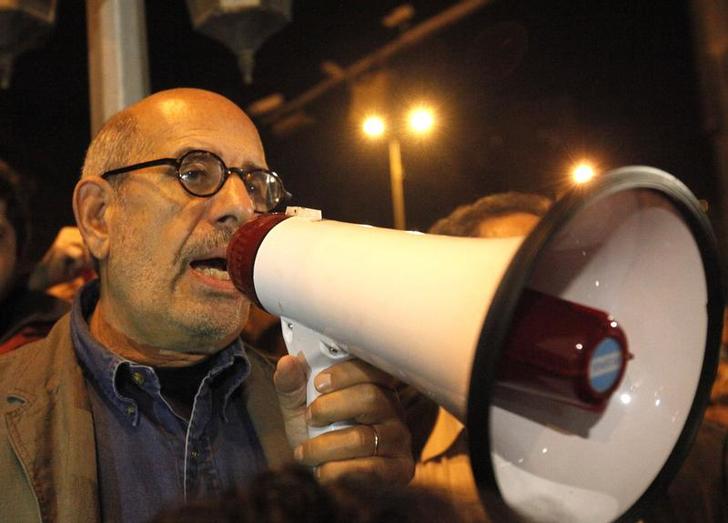 Egypt's ElBaradei says roadmap relaunches revolution