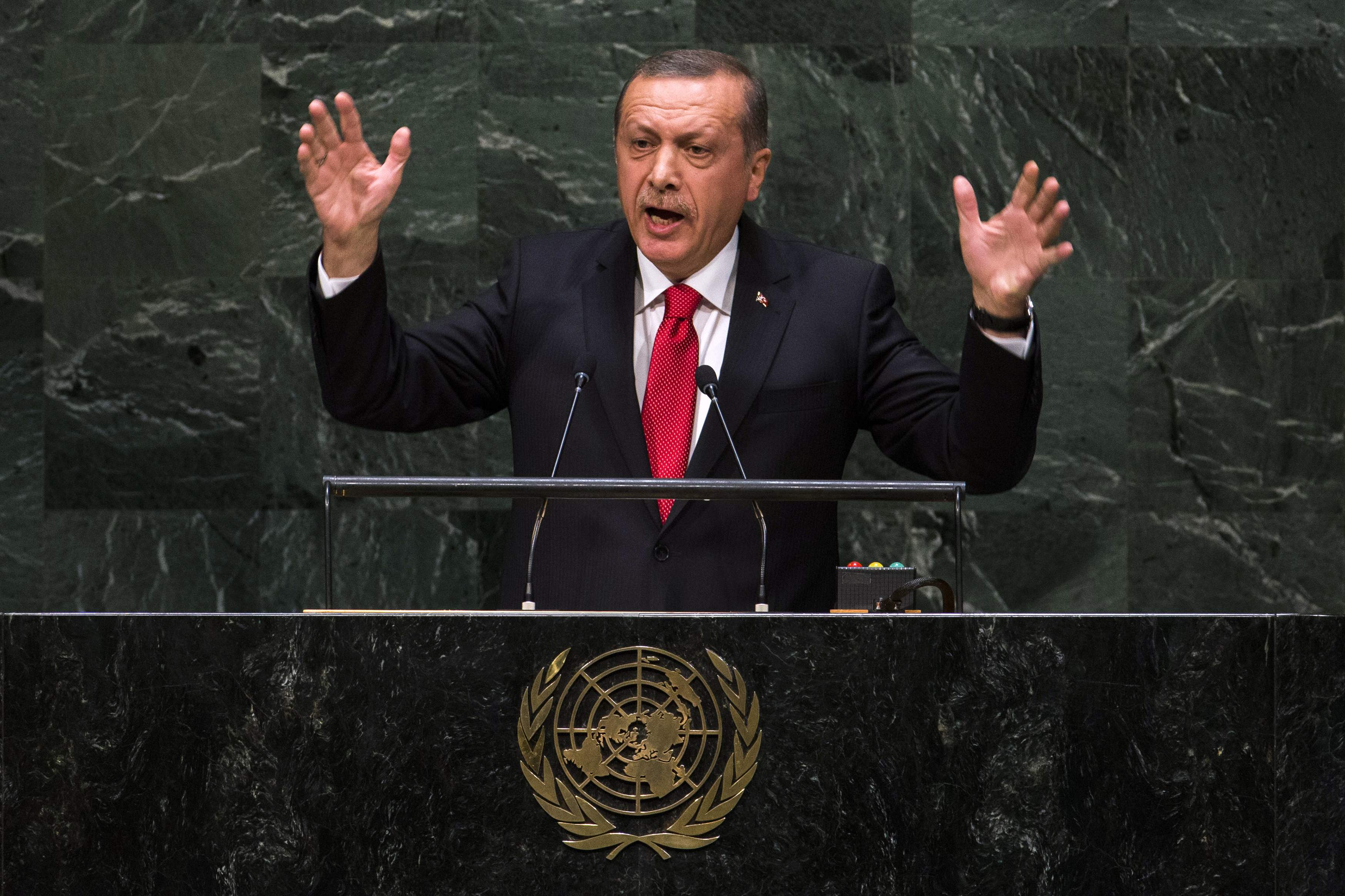 Egypt considers Edrogan's UN speech meddling in its affairs