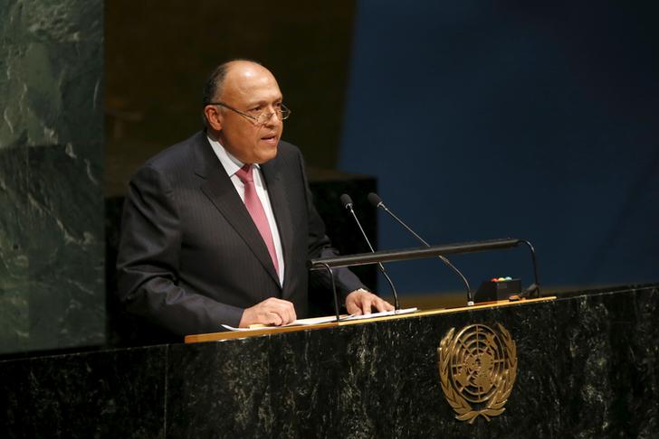 Egypt warns against being selective in applying UN resolutions  - Minister