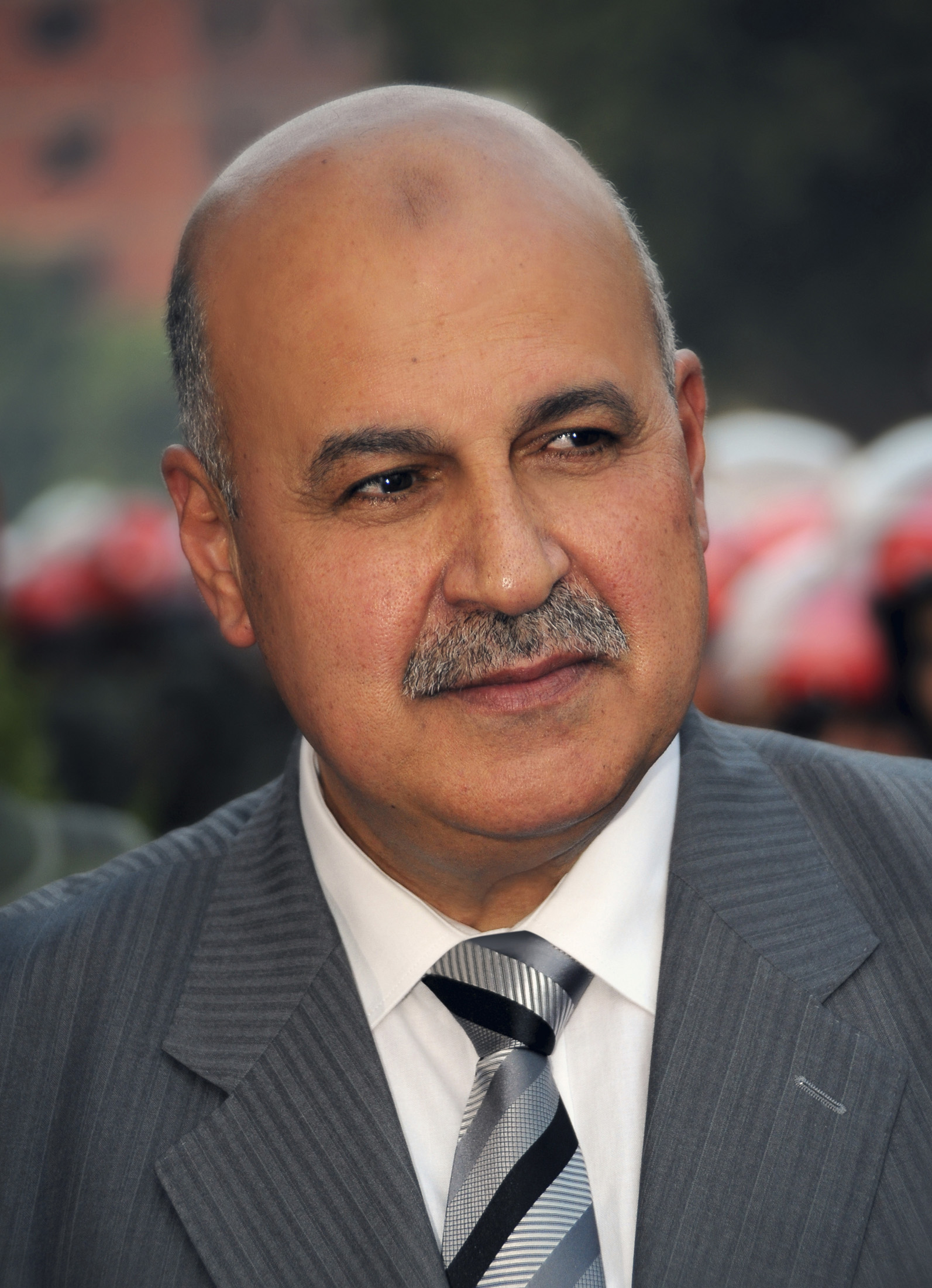 Egypt's vice president quits amid crisis