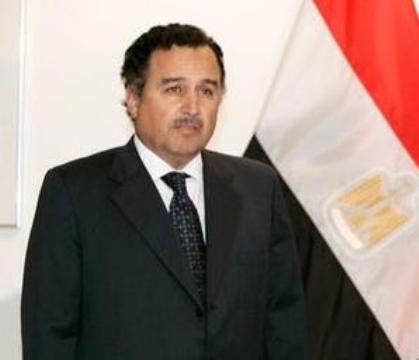Egyptian and Ethiopian FMs discuss common interests: Spokesman