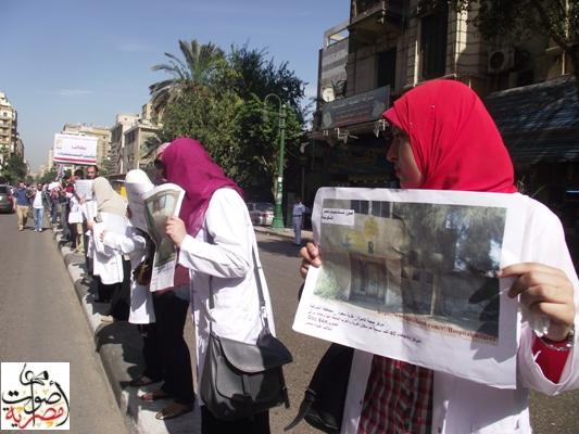 Egyptian doctors' strike postponed