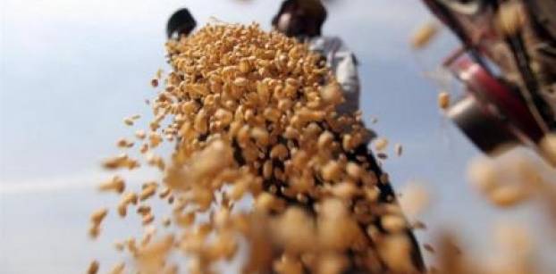 مصر تشتري 360 ألف طن من القمح الروسي والأرجنتيني والروماني في مناقصة