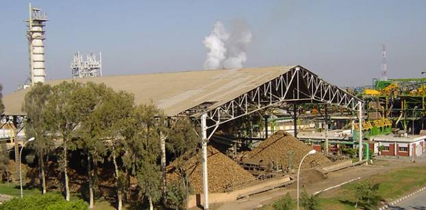 شركة الدلتا: 2015 من أصعب السنوات على صناعة السكر في مصر