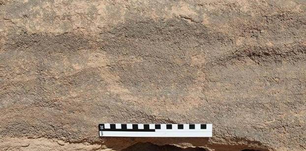 الكشف عن مجموعة من النقوش الصخرية تعود لعصور ما قبل التاريخ بأسوان