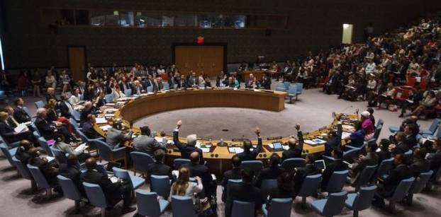 مصر تعرقل صدور بيان في مجلس الأمن الدولي يدين العنف في تركيا