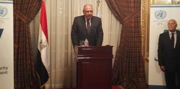 حصاد الدبلوماسية المصرية في 2016.. قليل من الانجازات كثير من التحديات