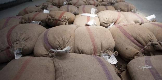 الحكومة توافق على شراء القمح من الفلاحين طبقا للسعر العالمي