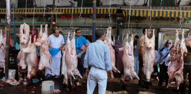 التموين تطرح خروف العيد في المجمعات الاستهلاكية بسعر 38 جنيه للكيلو