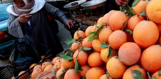دولارات مصر من البرتقال مرشحة للزيادة بفضل الصراعات الدولية