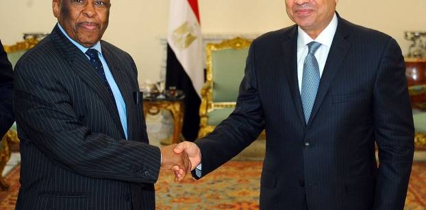 السيسي يبحث مع مسؤول أفريقي نشر قوة إقليمية في جنوب السودان