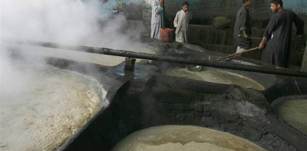 وزير الزراعة: انتاج مصر من السكر بلغ 2.2 مليون طن هذا العام