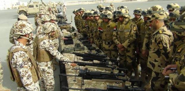 مصر والبحرين تنفذان تدريبا عسكريا مشتركا