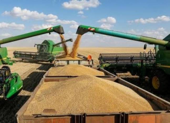 الحكومة تبدأ استلام القمح من الفلاحين منتصف أبريل ولمدة 3 شهور