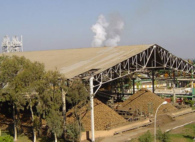 شركة الدلتا: 2015 من أصعب السنوات على صناعة السكر في مصر