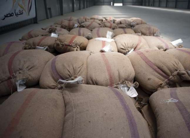 وكالة: هيئة السلع التموينية تشتري 240 ألف طن من القمح الروسي