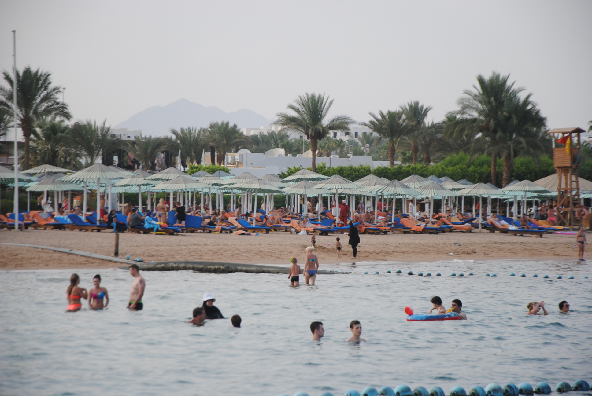 زعزوع: رجل أعمال سعودي يبحث إقامة أكبر منتجع سياحي في شرم الشيخ بـ 4 مليارات دولار