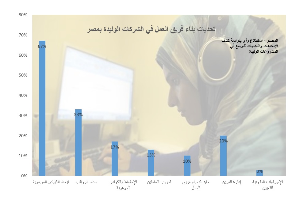 استطلاع للرأي: 82% من رواد الأعمال بمصر ذكور 