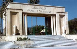 وزارة الزراعة: افتتاح أول متحف حيواني في مصر قريبا داخل حديقة الحيوان بالجيزة