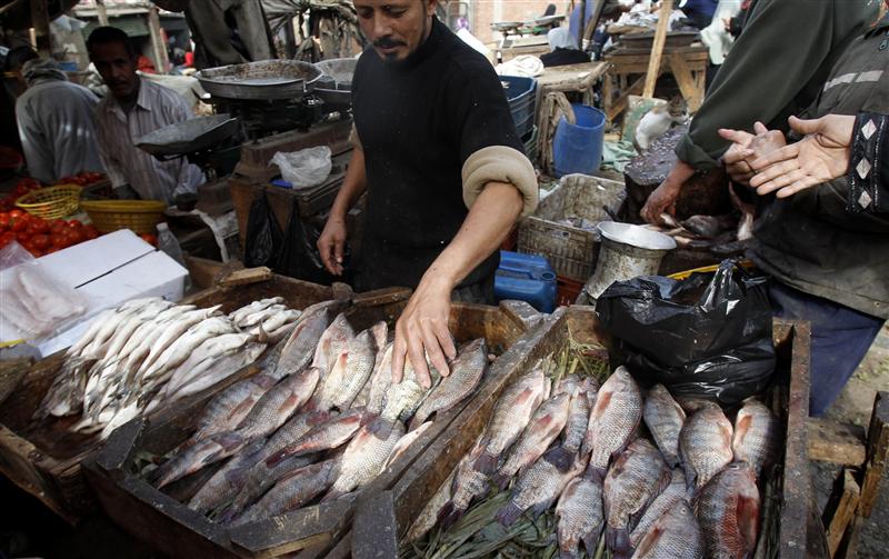 محافظ أسوان: تجديد مصنع الأسماك بنطاق بحيرة ناصر 
