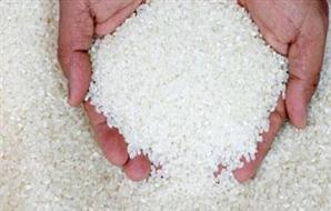 الحكومة تقرر السماح بتصدير مليون طن من الأرز 