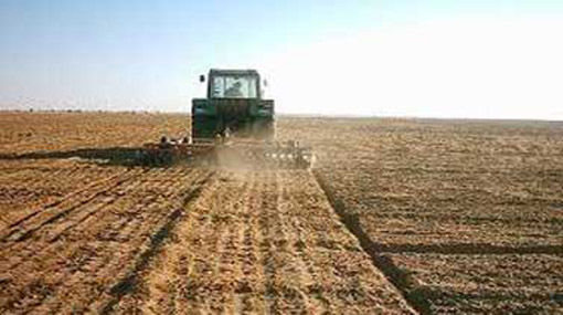 «الزراعة» تحجز على المنتجعات بطريقي الإسكندرية والإسماعيلية الصحراويين لاسترداد 26 مليار جنيه