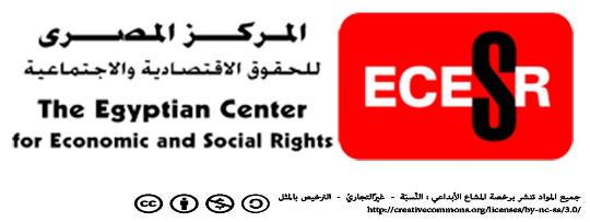 المركز المصري يطالب بالكشف عن مكان احتجاز الناشط محمد عادل