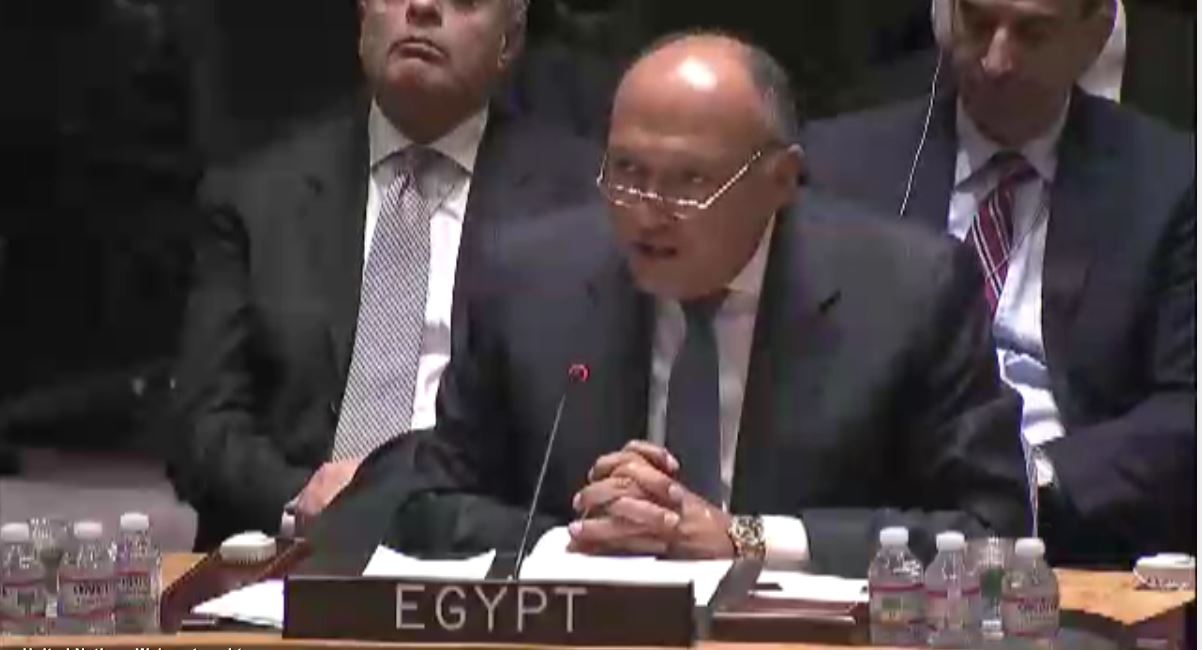 الخارجية: مصر تفوز برئاسة 3 لجان في مجلس الأمن