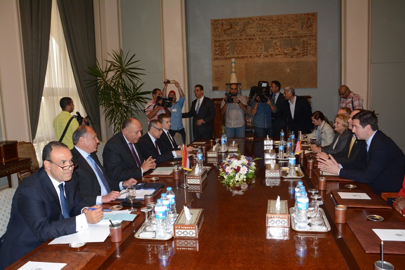 وزير الخارجية يدعو إلى تعزيز العلاقات بين مصر وأمريكا في المجالات السياسية والاقتصادية والأمنية 