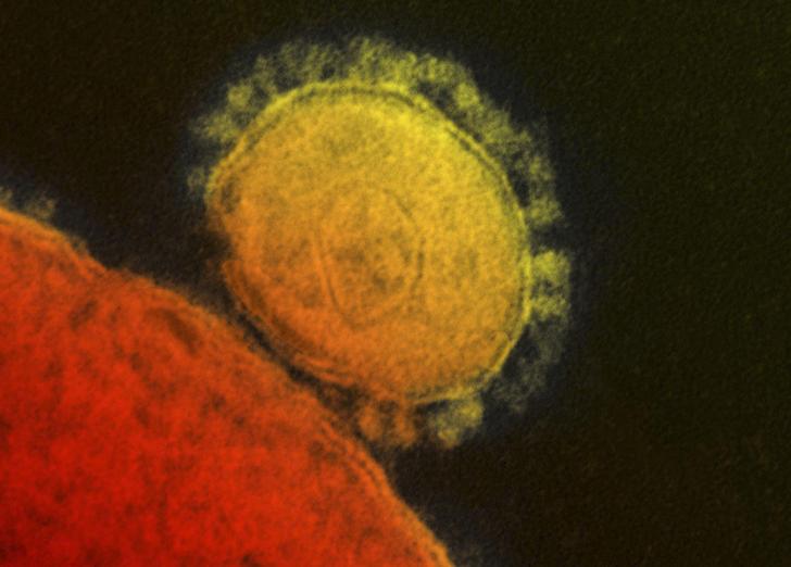 وزارة الصحة تعلن شفاء أول مريض بفيروس كورونا في مصر