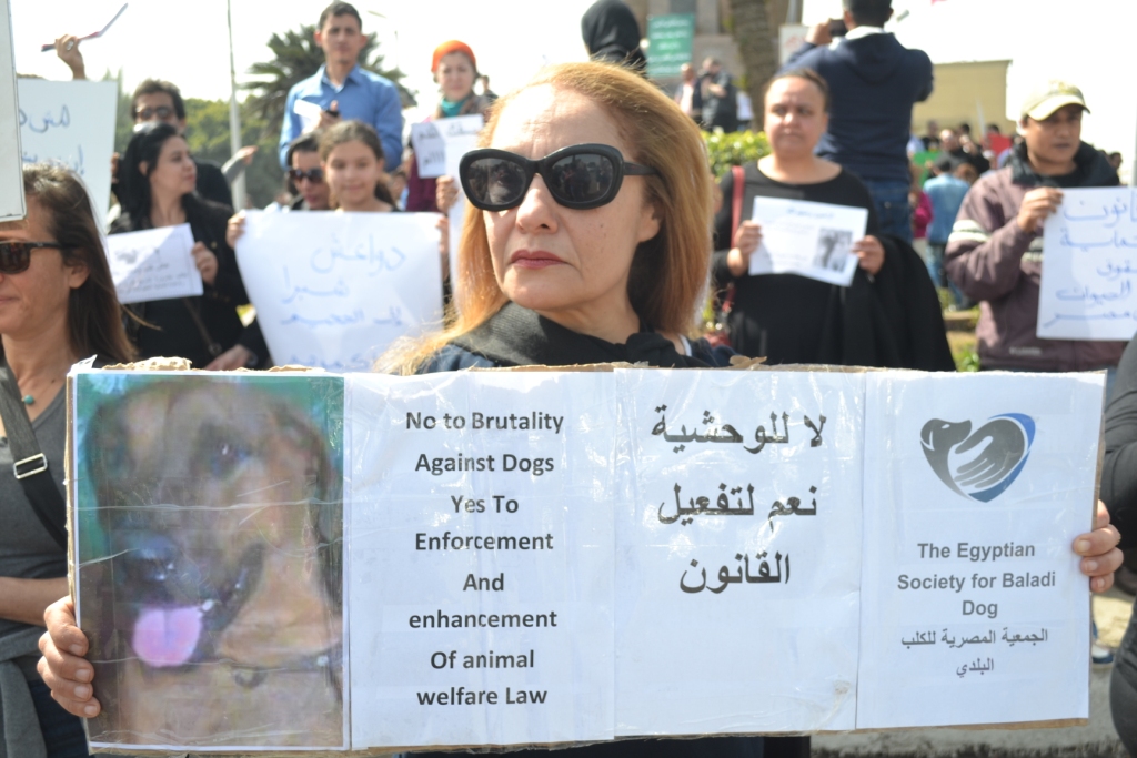 4 مارس المقبل أولى جلسات محاكمة المتهمين بقتل كلب بمنطقة شبرا الخيمة