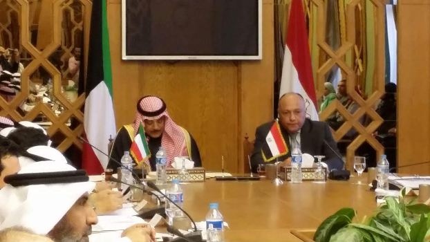شكري: التدخل السعودي البري في سوريا قرار سيادي منفرد ومصر تدعم الحل السياسي