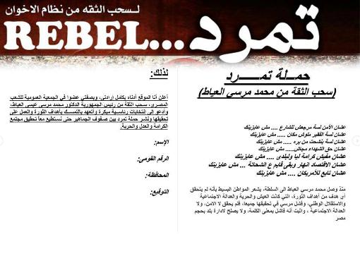 حركة تمرد بالوادى الجديد تقول إنها حصلت على مئات التوقيعات لسحب الثقة من الرئيس مرسى